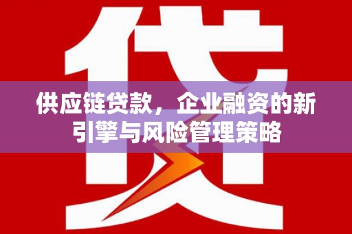安宁供应链贷款，企业融资的新引擎与风险管理策略