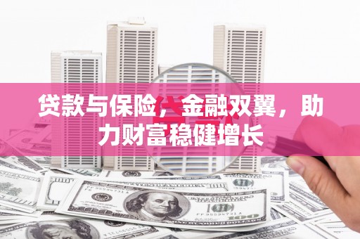 佳冬贷款与保险，金融双翼，助力财富稳健增长