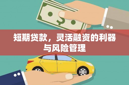 玛家短期贷款，灵活融资的利器与风险管理