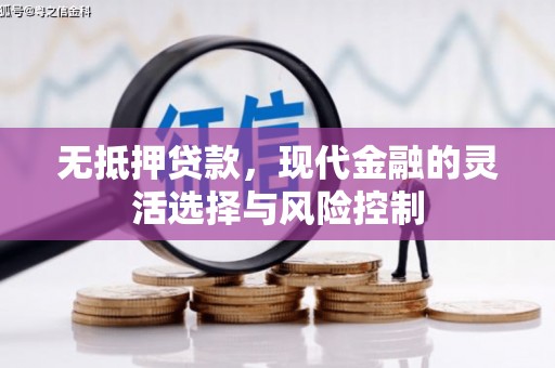 应县无抵押贷款，现代金融的灵活选择与风险控制
