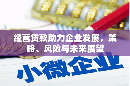 内埔经营贷款助力企业发展，策略、风险与未来展望