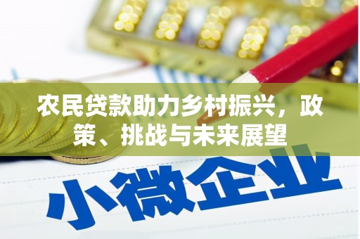 黑水农民贷款助力乡村振兴，政策、挑战与未来展望