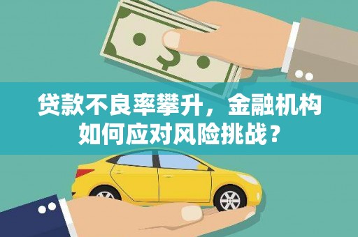 麻豆贷款不良率攀升，金融机构如何应对风险挑战？
