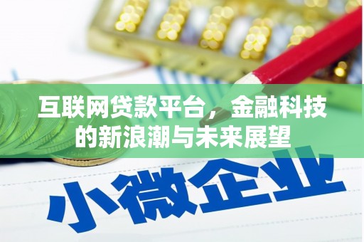 隆子互联网贷款平台，金融科技的新浪潮与未来展望