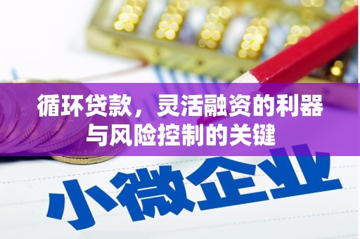 兰西循环贷款，灵活融资的利器与风险控制的关键
