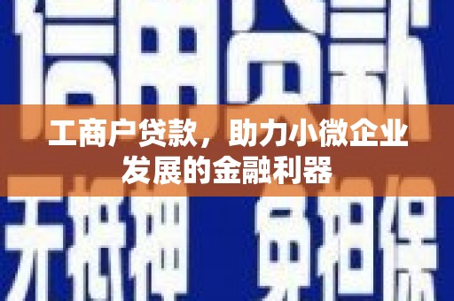酉阳工商户贷款，助力小微企业发展的金融利器