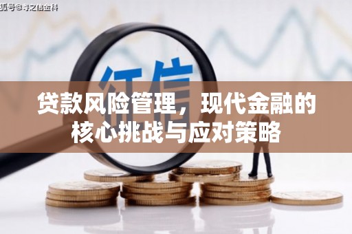 民雄贷款风险管理，现代金融的核心挑战与应对策略