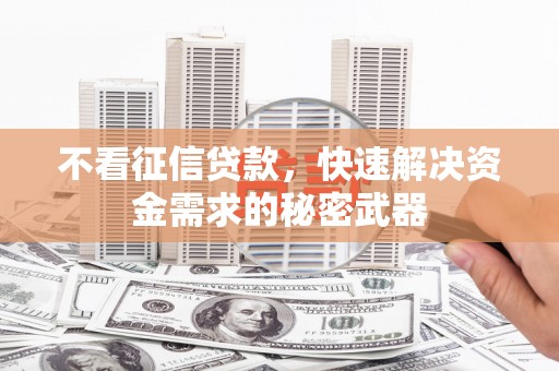 扎鲁特旗不看征信贷款，快速解决资金需求的秘密武器
