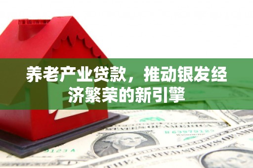 鄄城养老产业贷款，推动银发经济繁荣的新引擎