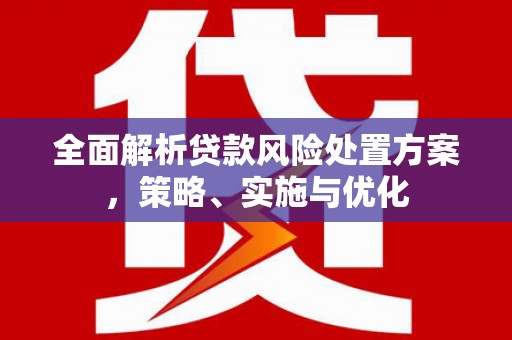 兴文全面解析贷款风险处置方案，策略、实施与优化