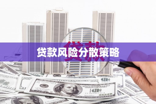 大社贷款风险分散策略