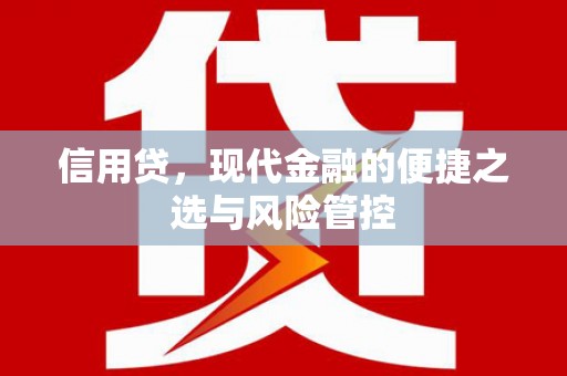 曲水信用贷，现代金融的便捷之选与风险管控
