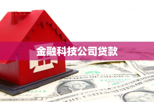 麻豆金融科技公司贷款
