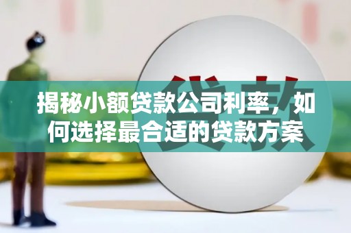阳东揭秘小额贷款公司利率，如何选择最合适的贷款方案