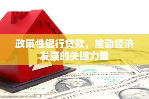 循化政策性银行贷款，推动经济发展的关键力量
