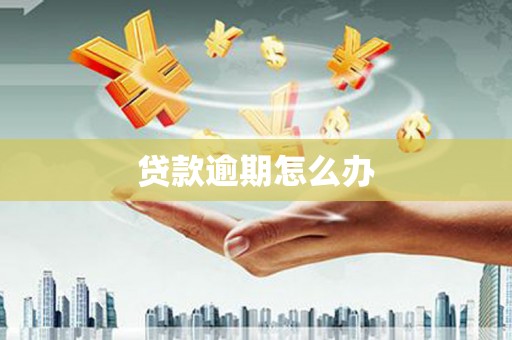青阳贷款逾期怎么办