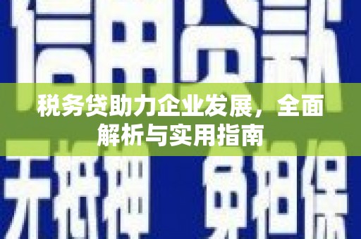 雁塔税务贷助力企业发展，全面解析与实用指南