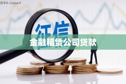 离岛金融租赁公司贷款