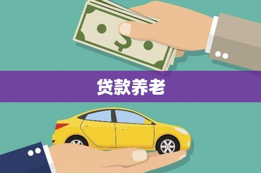 叠彩贷款养老