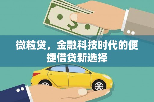 椒江微粒贷，金融科技时代的便捷借贷新选择