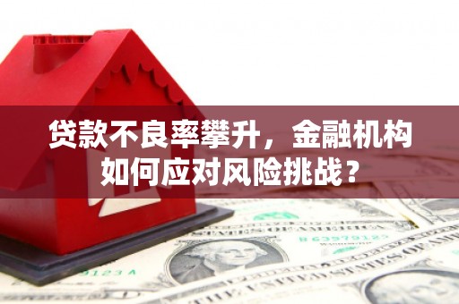 资兴贷款不良率攀升，金融机构如何应对风险挑战？