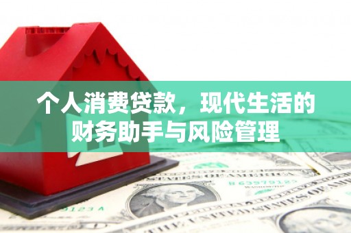 尼玛个人消费贷款，现代生活的财务助手与风险管理