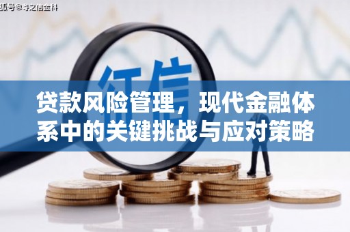 珠海贷款风险管理，现代金融体系中的关键挑战与应对策略