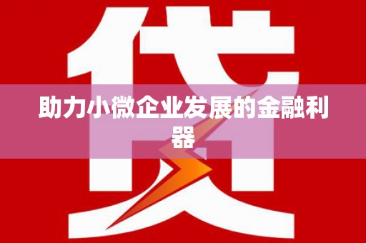 安岳助力小微企业发展的金融利器