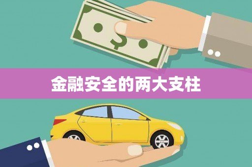 崇明金融安全的两大支柱