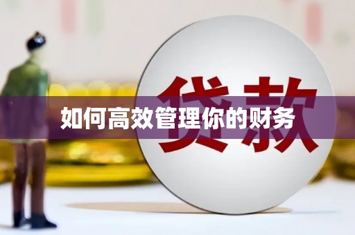 环江如何高效管理你的财务