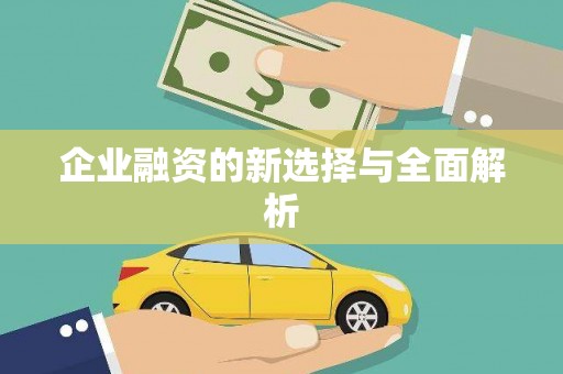 平安企业融资的新选择与全面解析