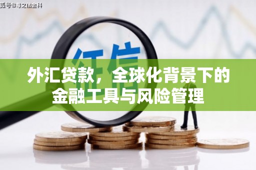 汉中外汇贷款，全球化背景下的金融工具与风险管理