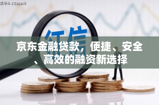 雷州京东金融贷款，便捷、安全、高效的融资新选择